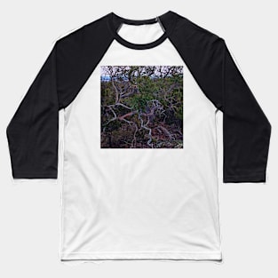 Twisted Tree Baseball T-Shirt